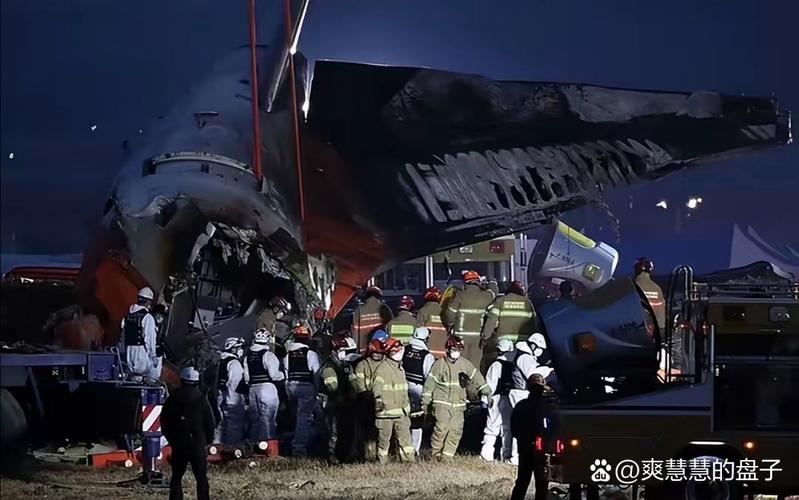 新澳门原料免费和韩国坠机致4人遇难与韩国坠机事件
