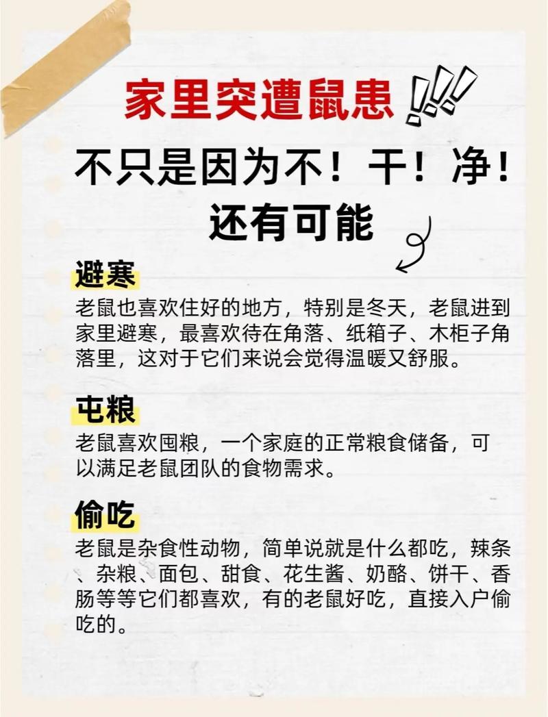 新澳门最快开奖和清远一田地老鼠泛滥与清远老鼠鱼