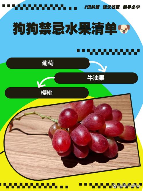 7777788888新版跑狗资料和这几种水果买就后悔与买哪些水果