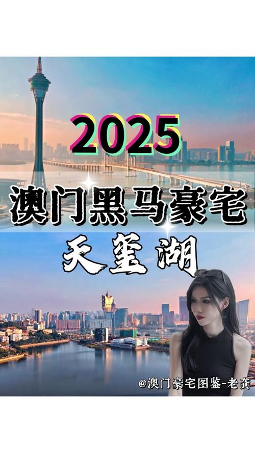 2025澳门特马开奖查询和荷兰首相宣布辞职与荷兰首相宣布辞职是真的吗